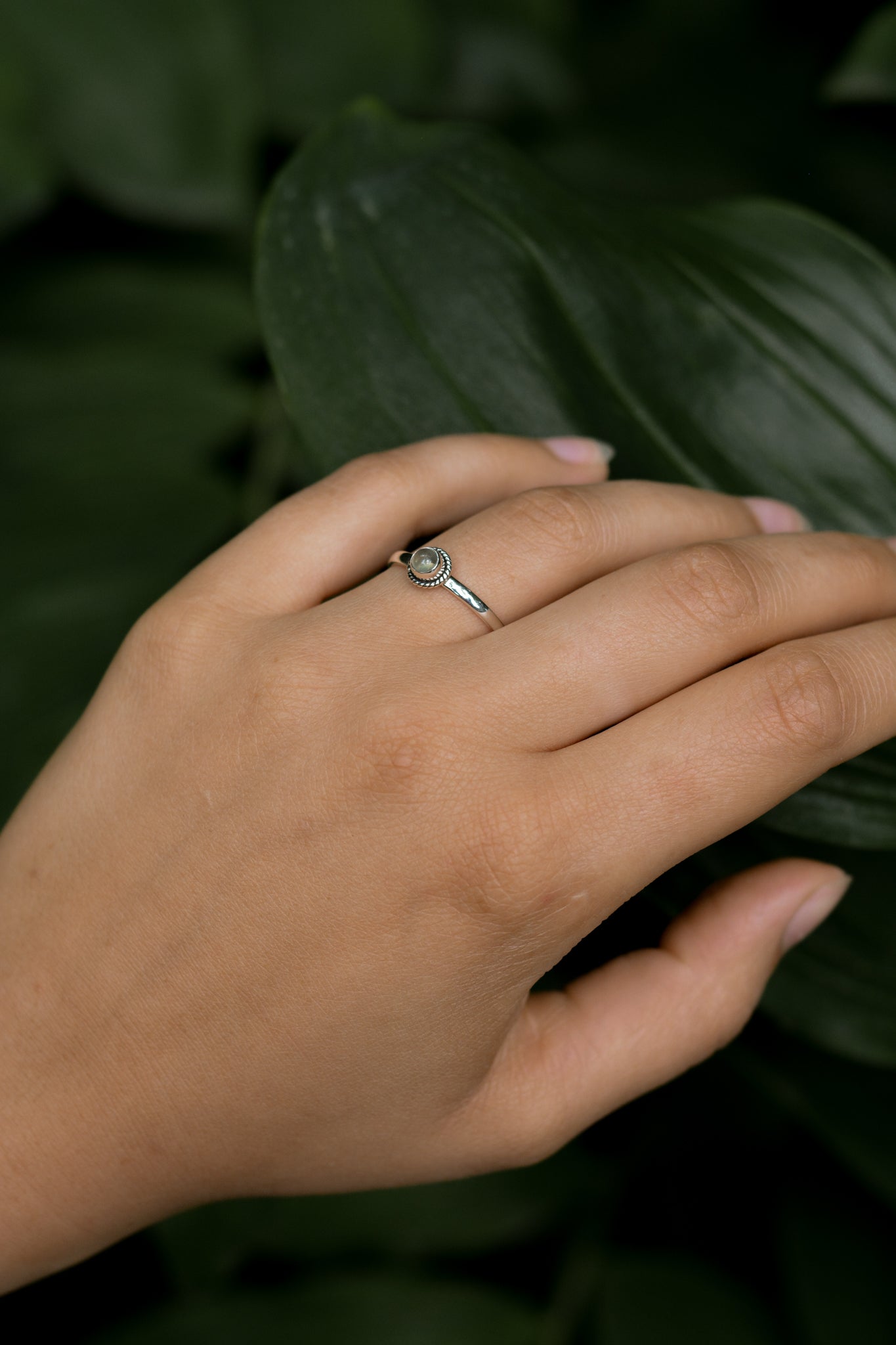 Samudra ring