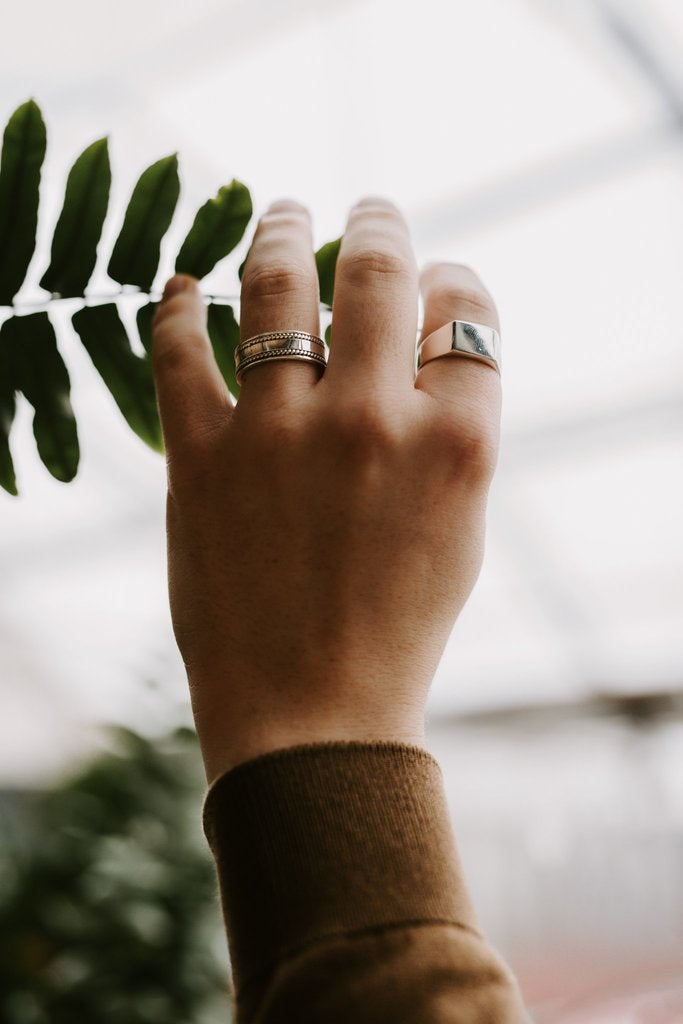 Narayan ring