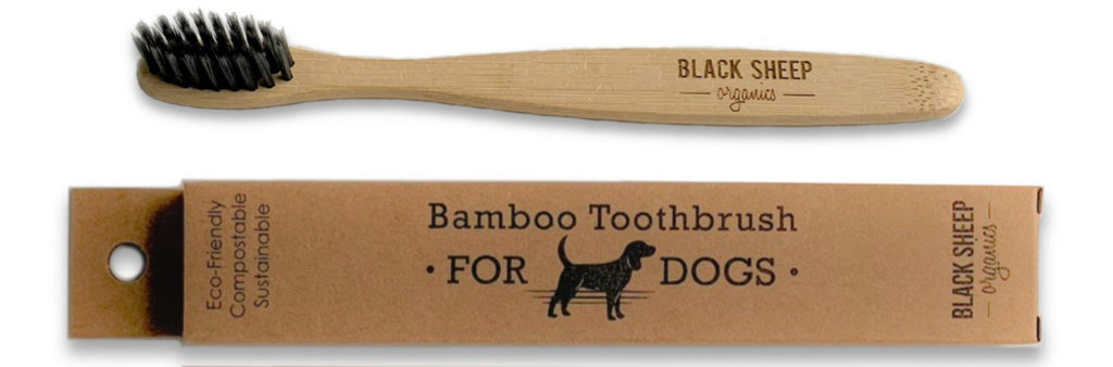 Bamboo Charcoal Toothbrush